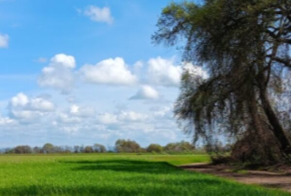 Farm to Fork - Blog Header