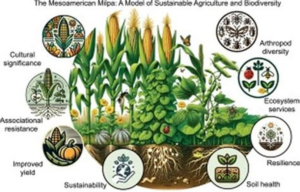 Immigration and Sustainable Food Systems Figure 1